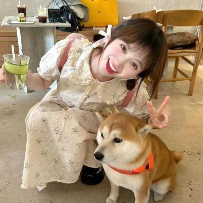 第二扇窗