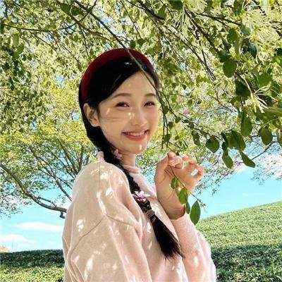 柏林之翼