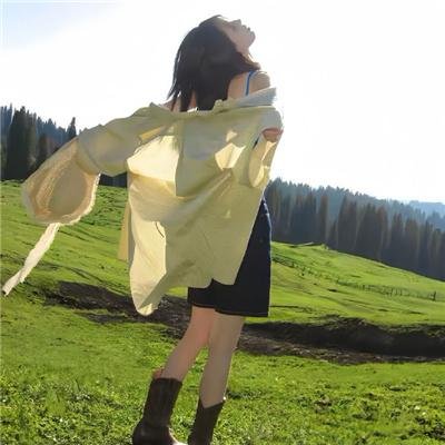 林登·詹森